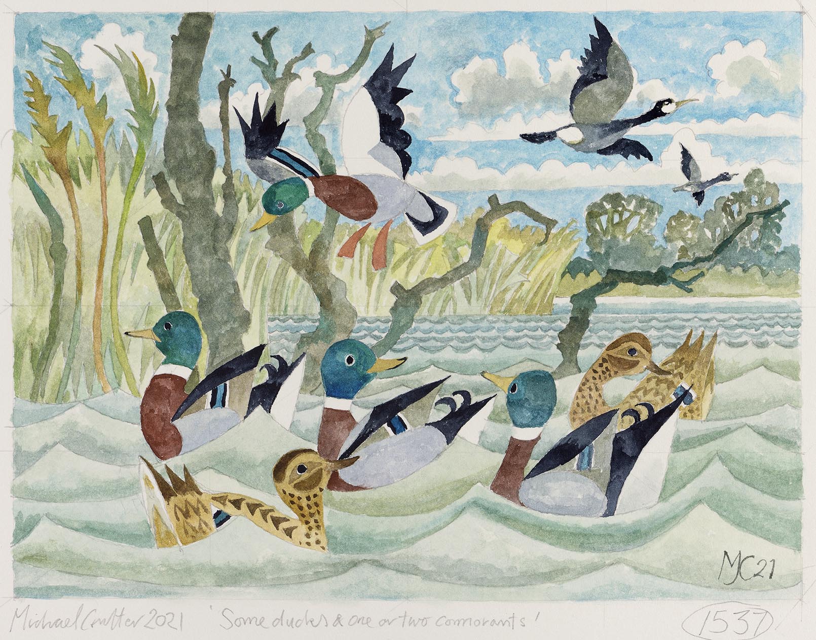 Some ducks and one or two cormorants